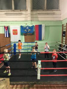Поможем вместе детям спортсменам, Зал Единоборств Егорьевск